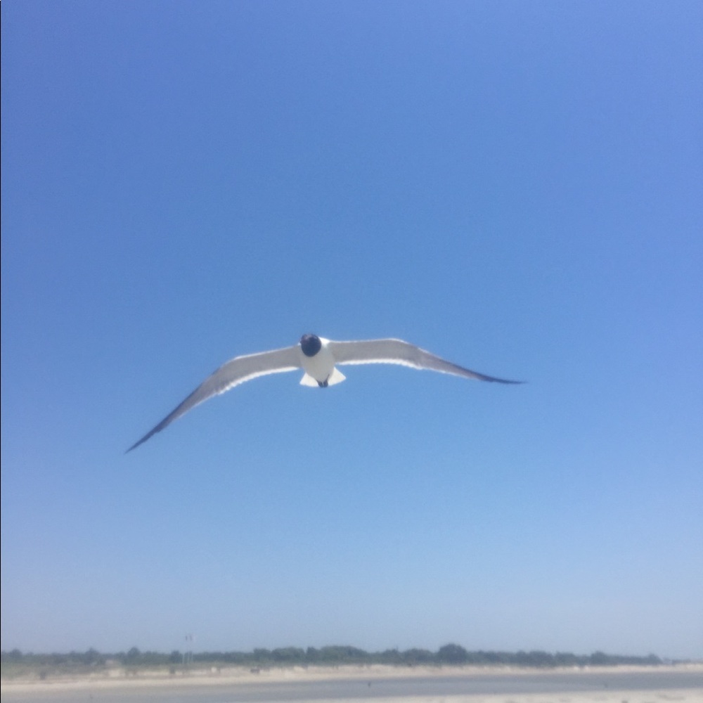 Meet your Posher, Holly